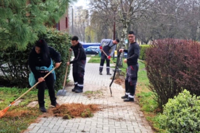 Felfrissülnek a bokrok, terek - Nagy munkában a NYÍRVV
