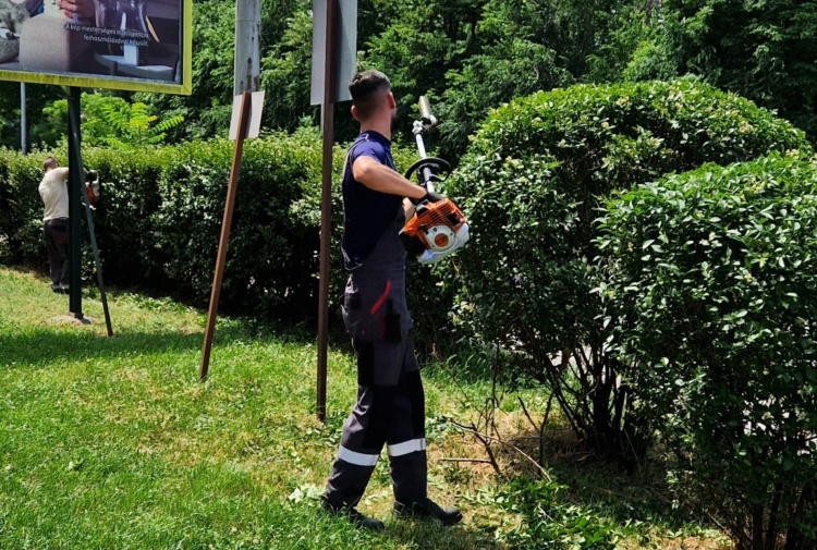 Karbantartás - A bokrok frizurájára is figyel a NYÍRVV