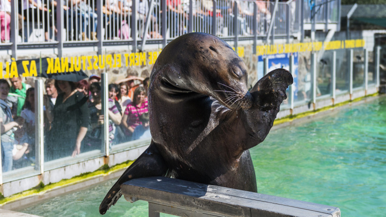 Több mint 600 ezer vendégéjszaka a hosszú hétvégén – Nyíregyháza a nyertesek között!
