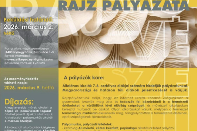 Macro Natura – rajzpályázatot hirdet a Nyíregyházi Művészeti Szakgimnázium és Kollégium