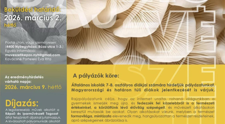 Macro Natura – rajzpályázatot hirdet a Nyíregyházi Művészeti Szakgimnázium és Kollégium