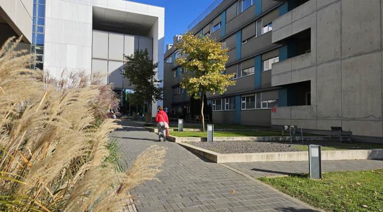 A megye ápolóit köszöntik Nyíregyházán a Magyar Ápolók Napja alkalmából