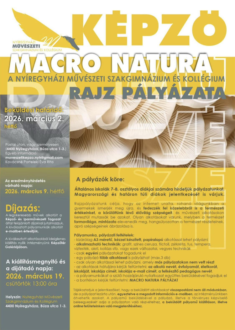 Macro Natura – rajzpályázatot hirdet a Nyíregyházi Művészeti Szakgimnázium és Kollégium