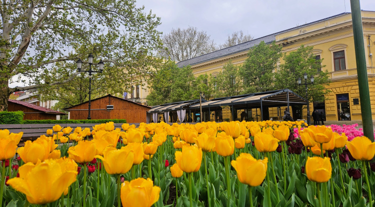 Online lakossági fórum a nyíregyházi közlekedésfejlesztésről