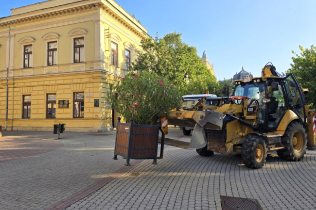 Visszatértek a leanderek és a pálmák Nyíregyháza köztereire