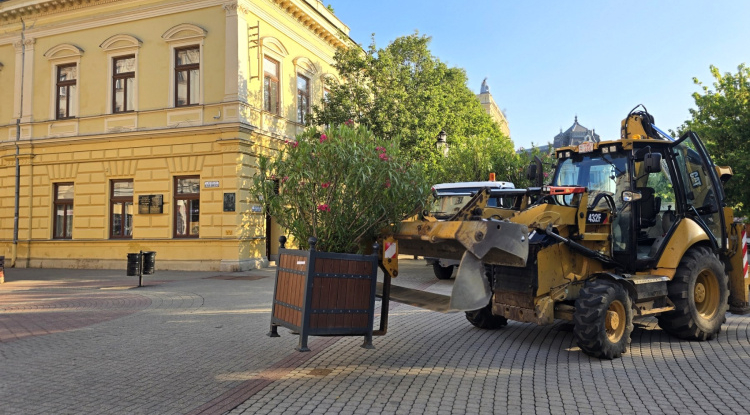 Visszatértek a leanderek és a pálmák Nyíregyháza köztereire