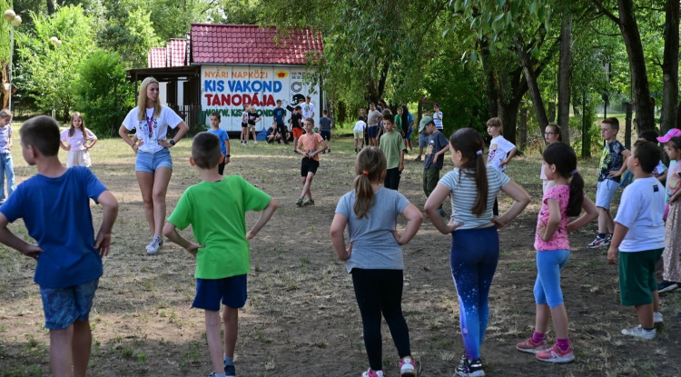 Kis Vakond Tábor – Közel 400 gyermeket várnak a nyár folyamán Sóstón